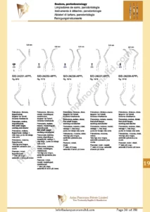 Premolars, molars, mesial, mesiolingual, mesiobuccal,